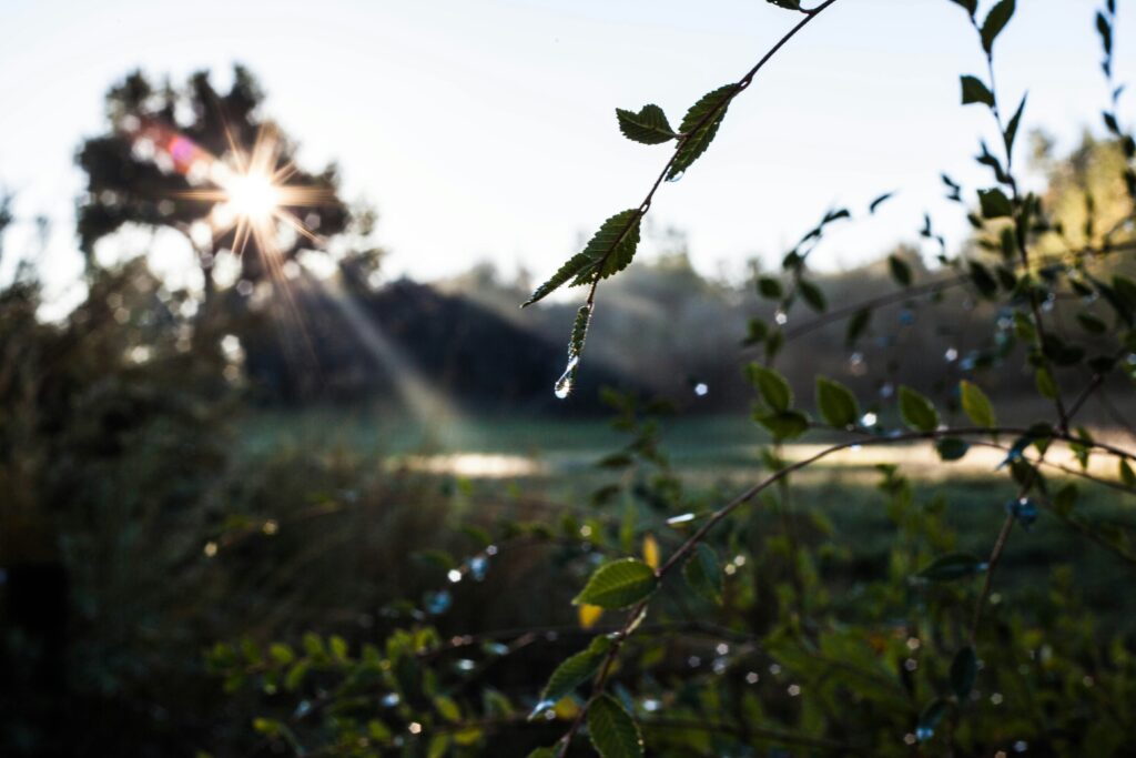 benjamin deyoung sp8NJ0P2Lyo unsplash