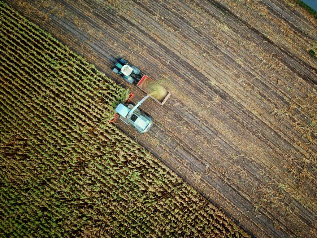 Νέα 5 no one cares l 5MJnbrmrs unsplash 1